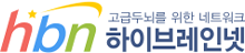 하이브레인넷